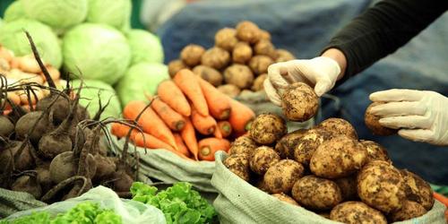 Дархан-Уул аймагт шинэ ургацын ногоог хүссэн газраа худалдаалах боломжтой